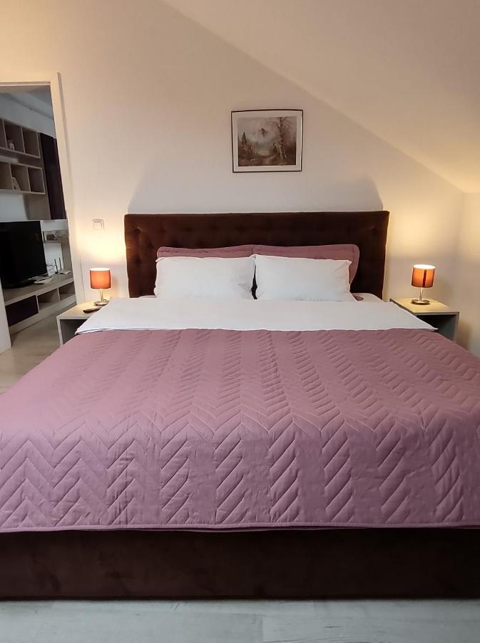 Simona Apartament Palas Mall 이아시 외부 사진