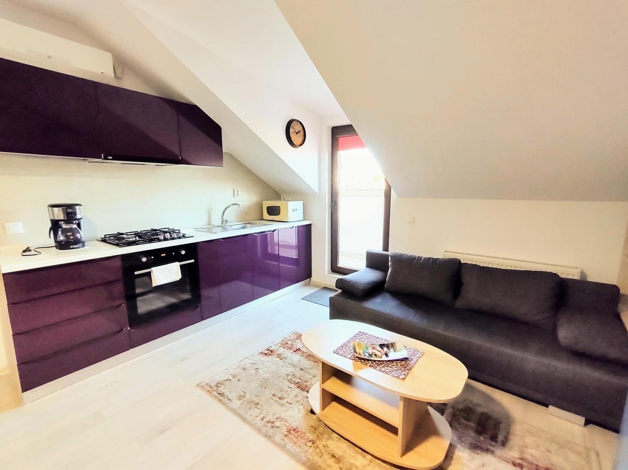 Simona Apartament Palas Mall 이아시 외부 사진