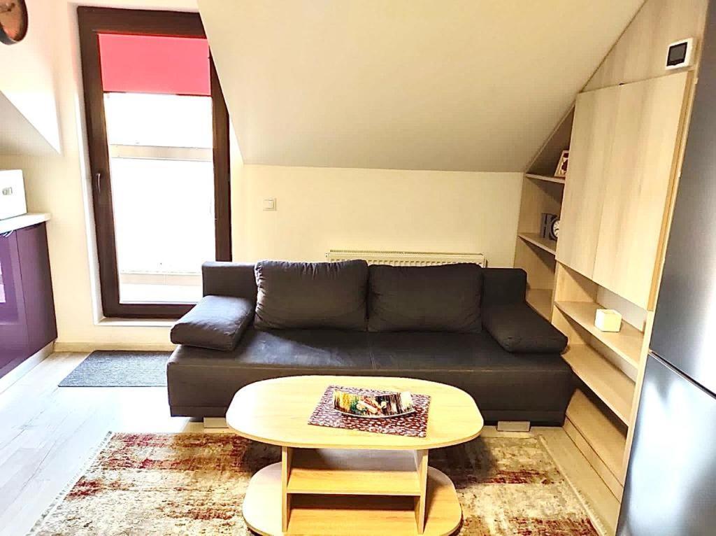 Simona Apartament Palas Mall 이아시 외부 사진