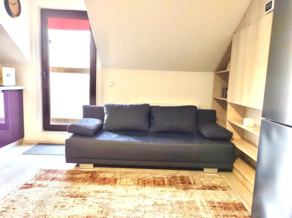 Simona Apartament Palas Mall 이아시 외부 사진
